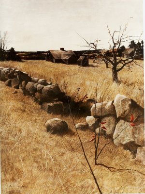 Andrew Wyeth's painting of a stone wall in need of mending