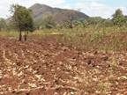 photo field being prepared for crops