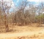dry land near Marimanti